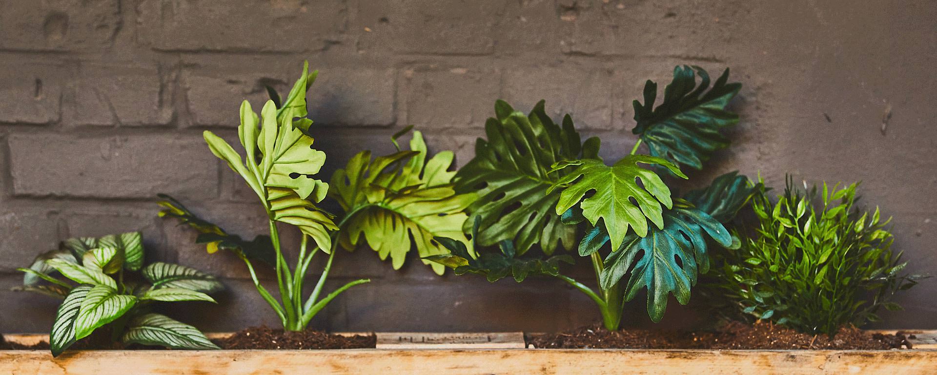 TBA Mietlokal Hamburg draußen und wettergeschuetzt feiern